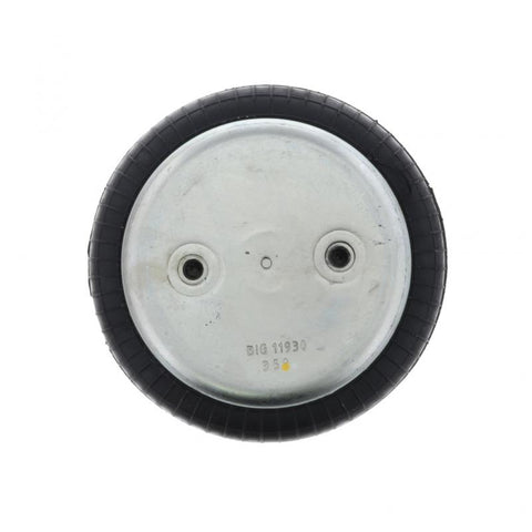 Air Spring Genuine Pai 750297