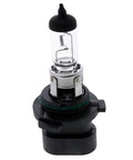 Low Beam Bulb Genuine Pai 804169