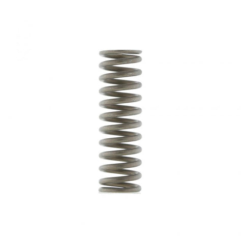 Interlock Spring Genuine Pai 808110