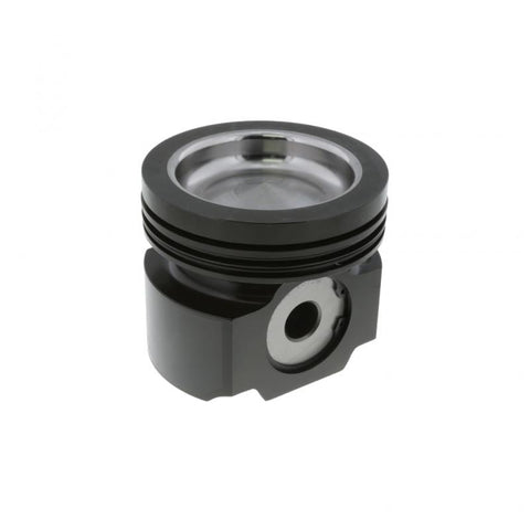 Piston Kit Genuine Pai 811025