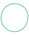 O-Ring Genuine Pai 821008