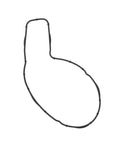 Water Pump Gasket Genuine Pai 831019
