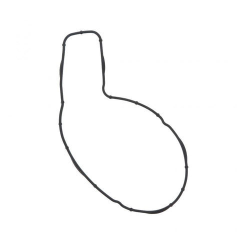 Water Pump Gasket Genuine Pai 831019