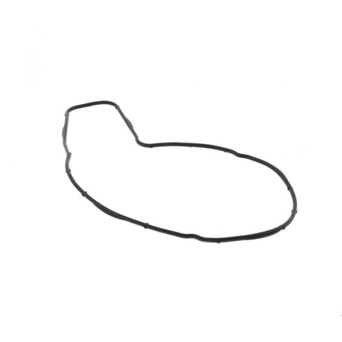 Water Pump Gasket Genuine Pai 831019