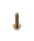 Screw Genuine Pai 840005