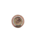 Screw Genuine Pai 840005