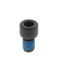 Screw Genuine Pai 840029