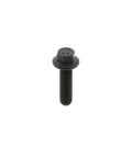 Capscrew Genuine Pai 840039