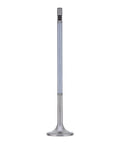 Intake Valve Genuine Pai 845010