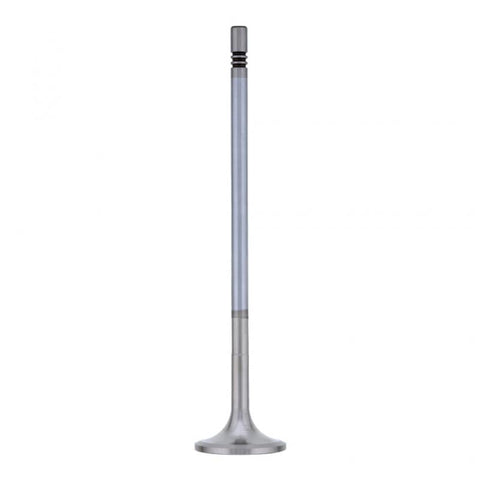 Intake Valve Genuine Pai 845010