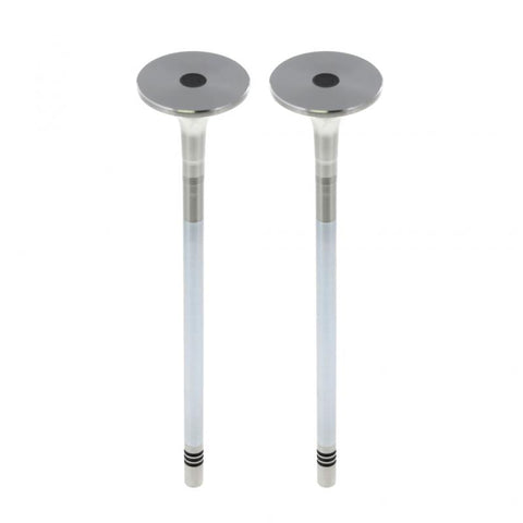 Exhaust Vale Genuine Pai 845011