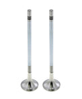 Exhaust Vale Genuine Pai 845011