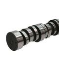 Camshaft Excel 891915E