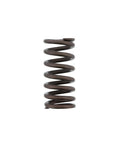 Outer Valve Spring Genuine Pai 892000
