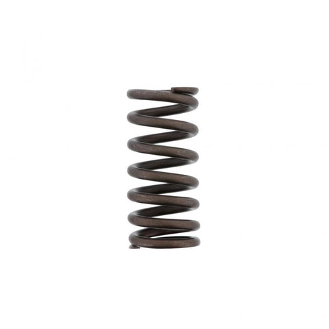 Outer Valve Spring Genuine Pai 892000