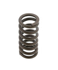 Outer Valve Spring Genuine Pai 892000