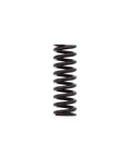 Inner Valve Spring Genuine Pai 892001