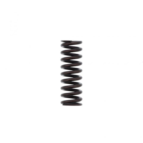 Inner Valve Spring Genuine Pai 892001