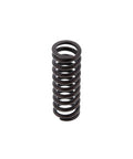 Inner Valve Spring Genuine Pai 892001