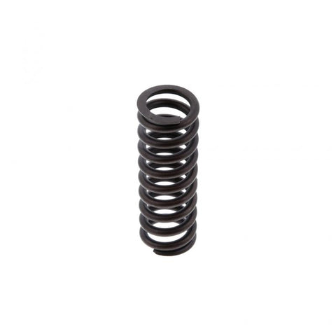 Inner Valve Spring Genuine Pai 892001