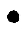 Countershaft Gear Genuine Pai 900074