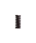 Detent Spring Genuine Pai 900274