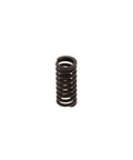 Detent Spring Genuine Pai 900274