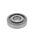 Bearing Genuine Pai 6167