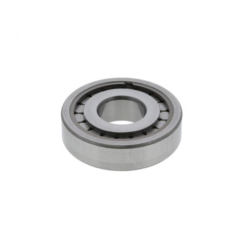 Bearing Genuine Pai 6167