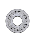 Bearing Genuine Pai 6167