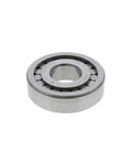 Bearing Genuine Pai 6167