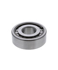 Bearing Genuine Pai 6168