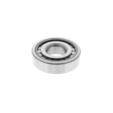 Bearing Genuine Pai 6169