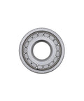 Bearing Genuine Pai 6169