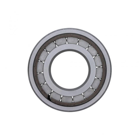 Pinion Bearing Genuine Pai 6173