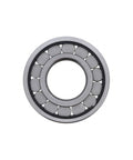 Bearing Genuine Pai 7552