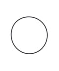 O-Ring Genuine Pai 2999