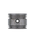 Piston Assembly Genuine Pai 4047-010
