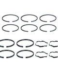 Air Compressor Ring Set Genuine Pai 4312-020