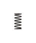 Discharge Valve Spring Genuine Pai 4107