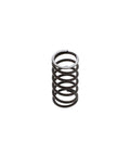 Discharge Valve Spring Genuine Pai 4107