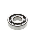Bearing Genuine Pai 8689