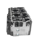 Cylinder Head Assembly Genuine Pai 3319