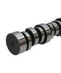 Camshaft Genuine Pai 8789E