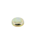 Plug Genuine Pai 3485