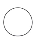 O-Ring Genuine Pai 2959