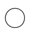 O-Ring Genuine Pai 3173
