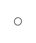 O-Ring Genuine Pai 3859