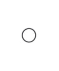 O-Ring Genuine Pai 3876