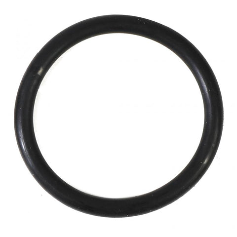 O-Ring Genuine Pai 3877